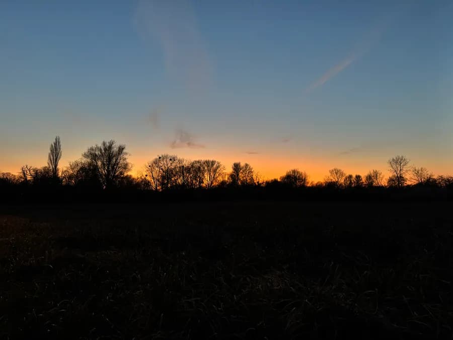 Oxford