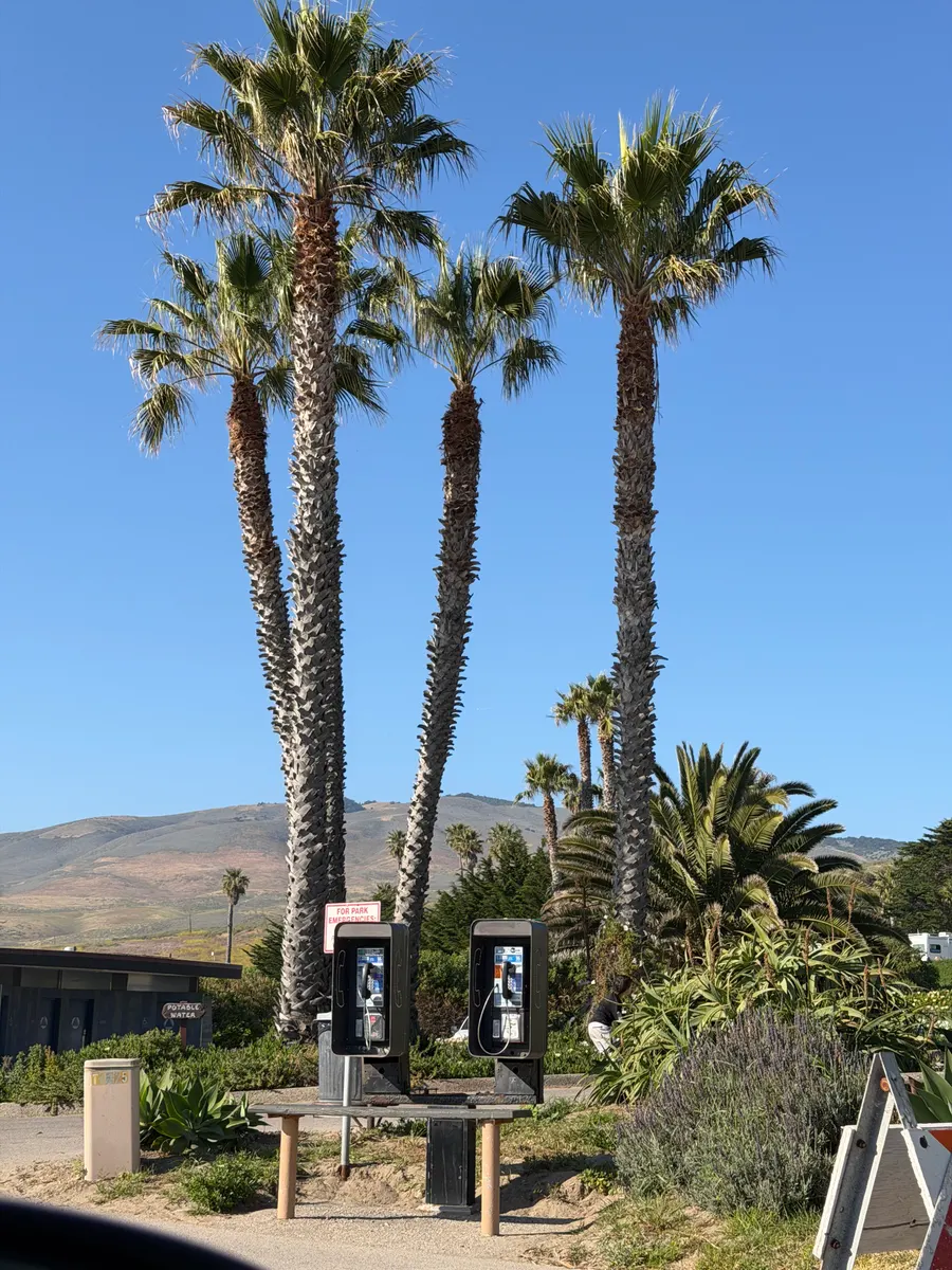 Jalama Beach