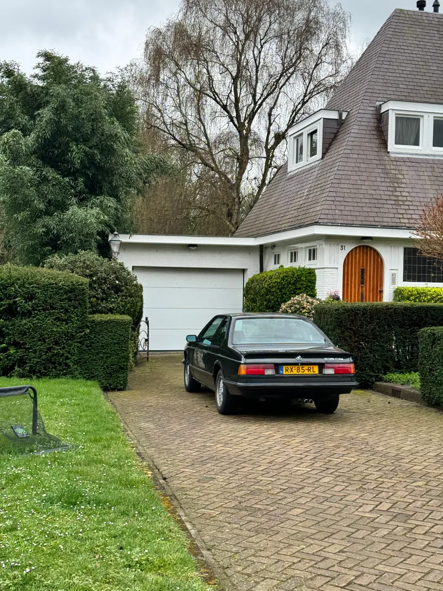 Rijnbuurt