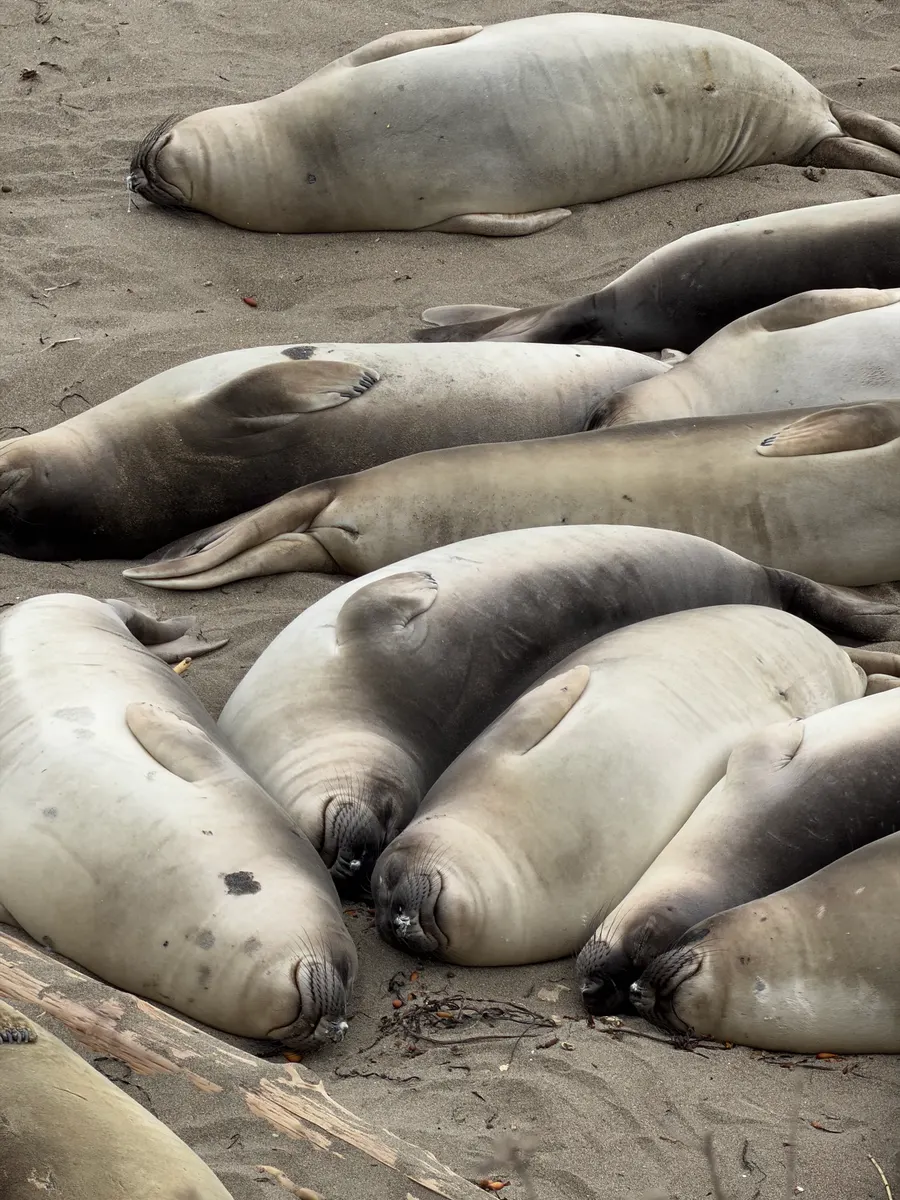 San Simeon